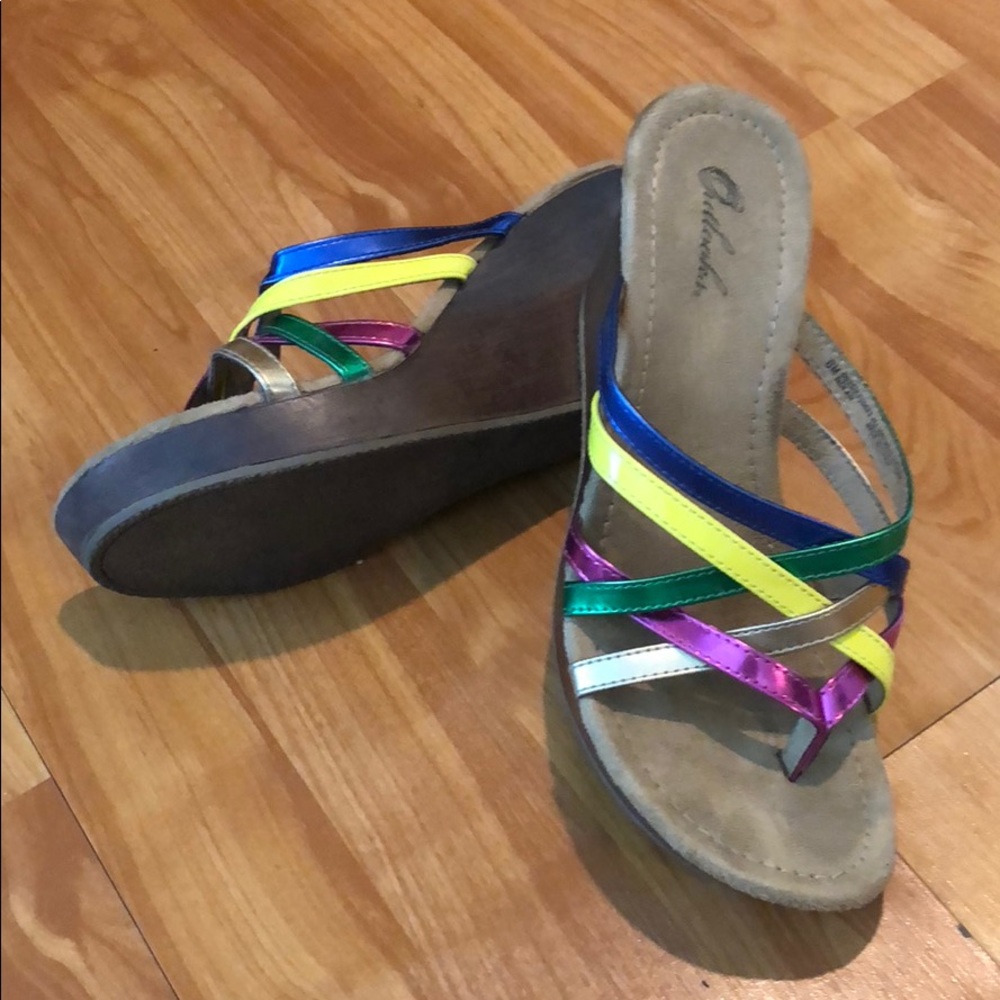 Colorful Wedges